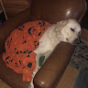 Meet your Posher, Meghan